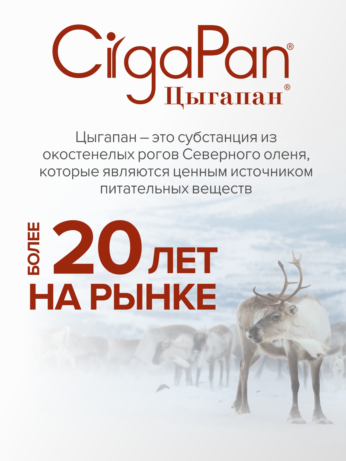 Мультивитамины для взрослых Цыгапан CigaPan Цыгапан комплекс витаминов и минералов для женщин и мужчин 120 капсул 400 мг - фото 15