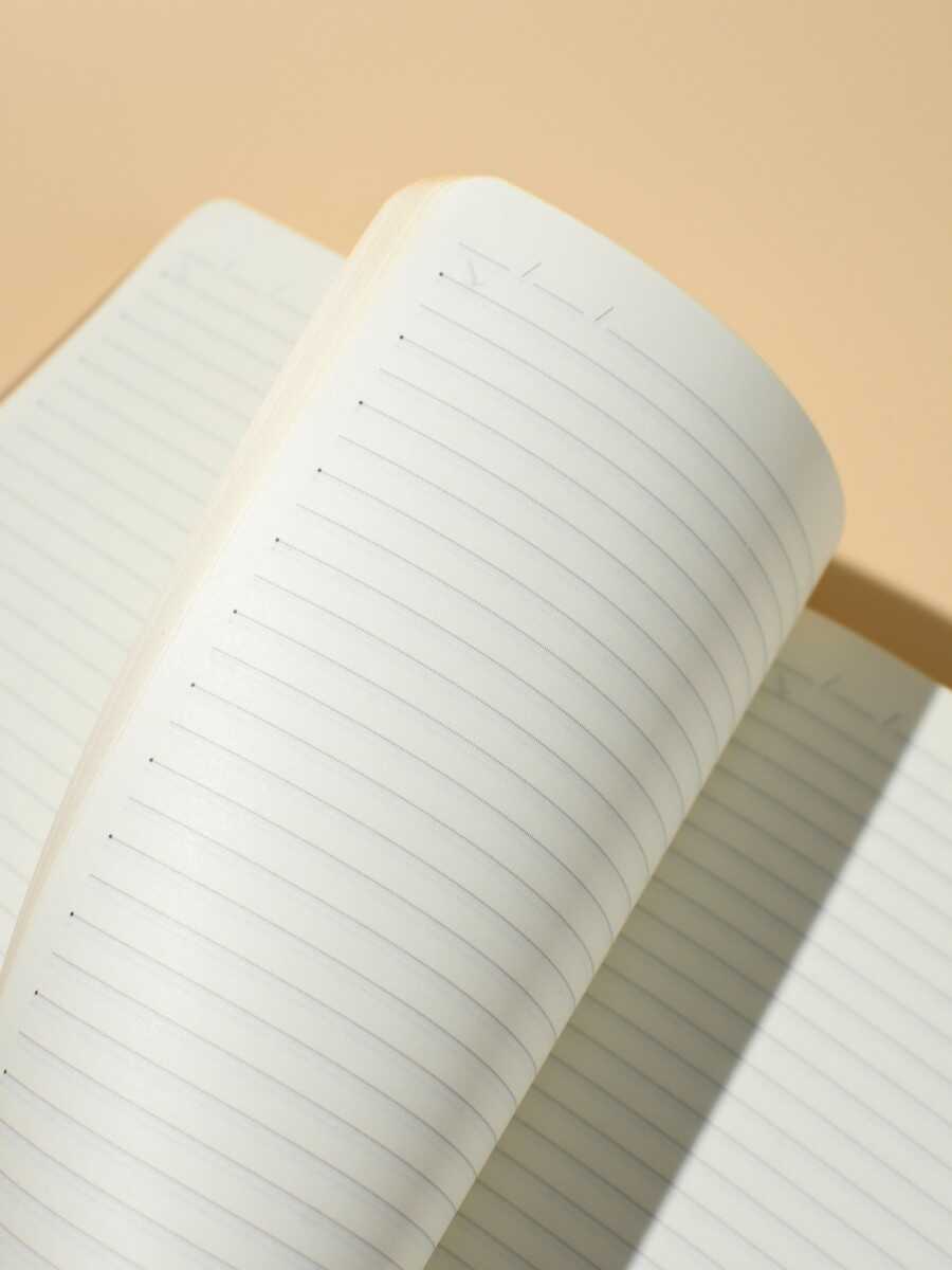 Ежедневник Феникс + ESCALADA 160 лист. - фото 11