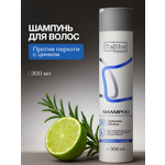 Шампунь Tashe Professional 300 мл