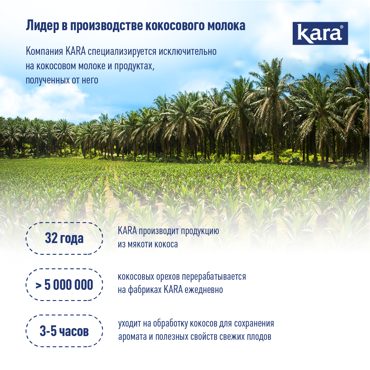Сливки кокосовые Kara 200 мл - фото 4