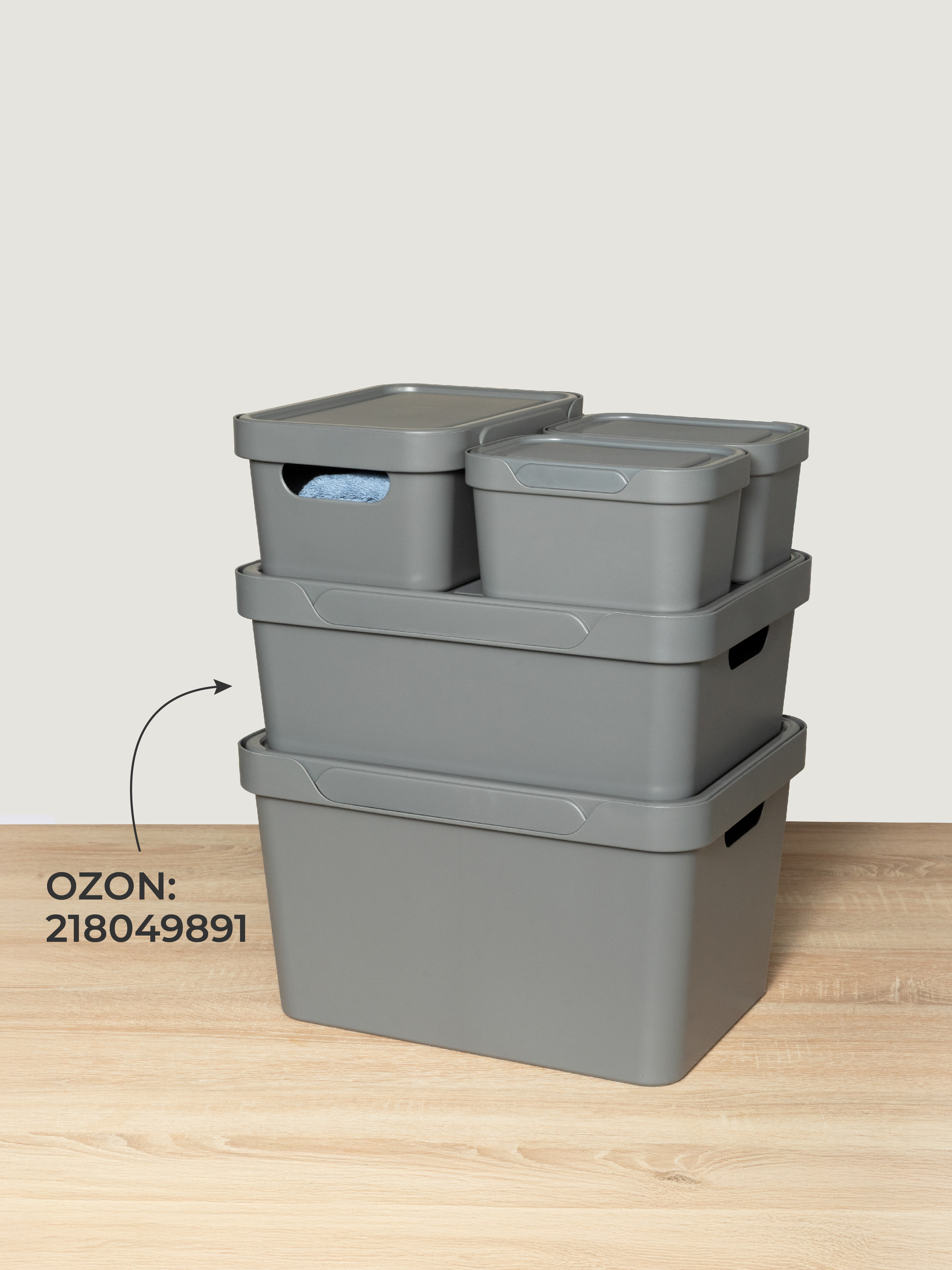 Набор ящиков с крышкой Econova Универсальные, 18.9х13.2х11 см, 1,9Л - фото 7