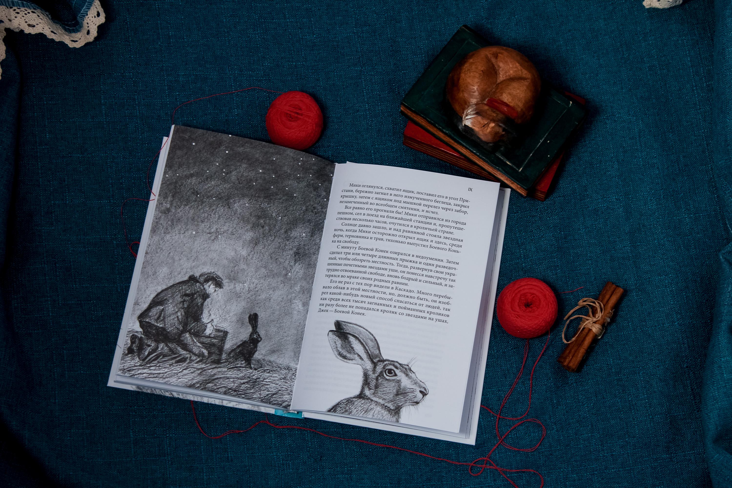 Книга Качели Кошка из трущоб и другие истории - фото 4
