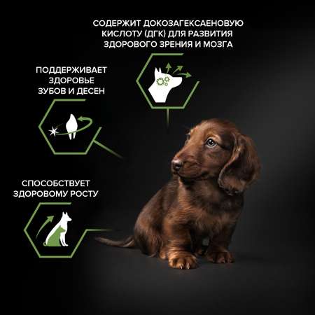Корм для щенков PRO PLAN мелких и миниатюрных пород с комплексом Optistar курица с рисом 7кг