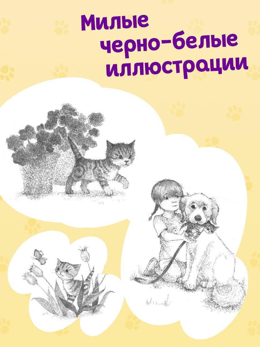 Книга Эксмо Котенок Билли, или Хрупкие лапки (выпуск 53) - фото 2