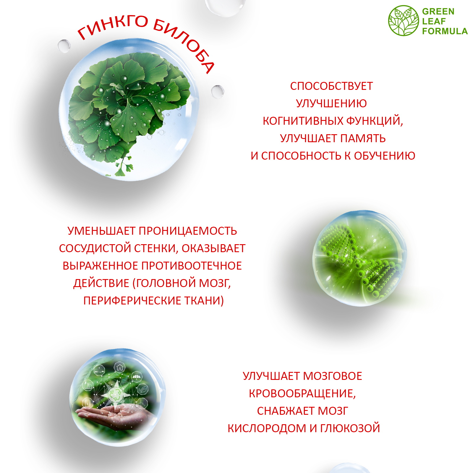 Витамины для мозга Green Leaf Formula для нервной системы триптофан глицин для памяти внимания от стресса и депрессии - фото 6