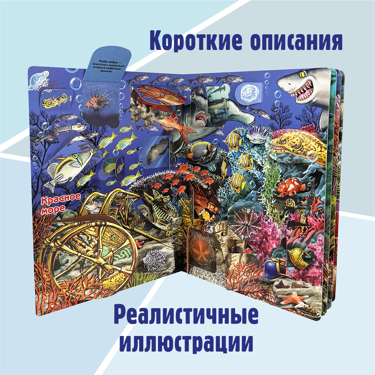 Энциклопедия с окошками БимБиМон книга детская - фото 5