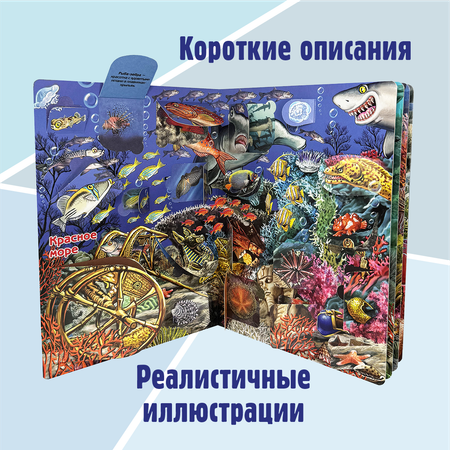 Энциклопедия с окошками БимБиМон книга детская