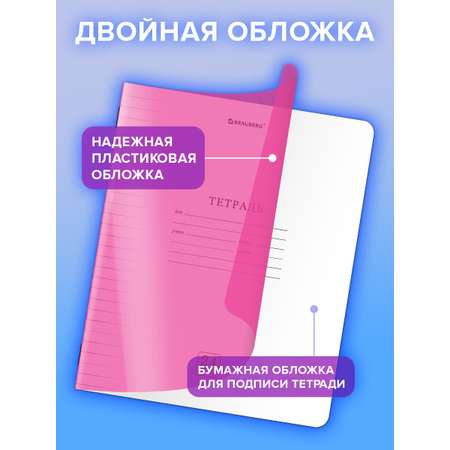 Общая тетрадь Brauberg линейка