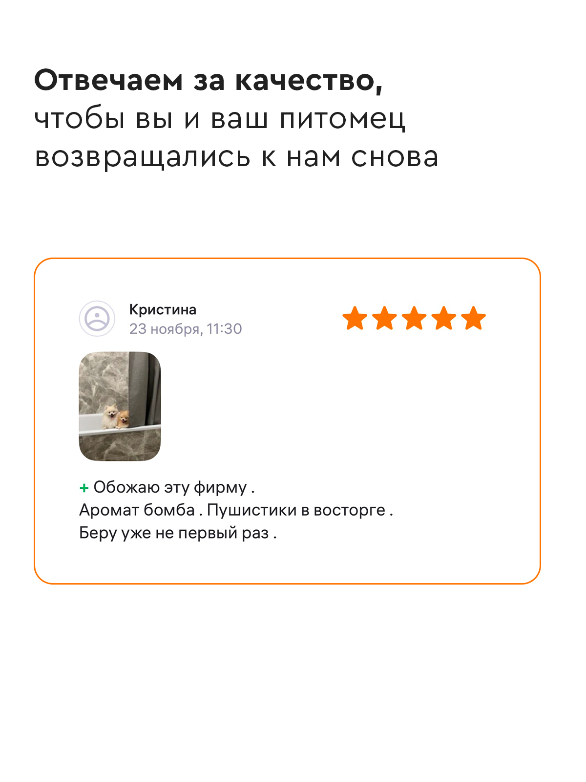 Шампунь с ароматом банана Pamilee универсальный домашний увлажняющий для собак - фото 9