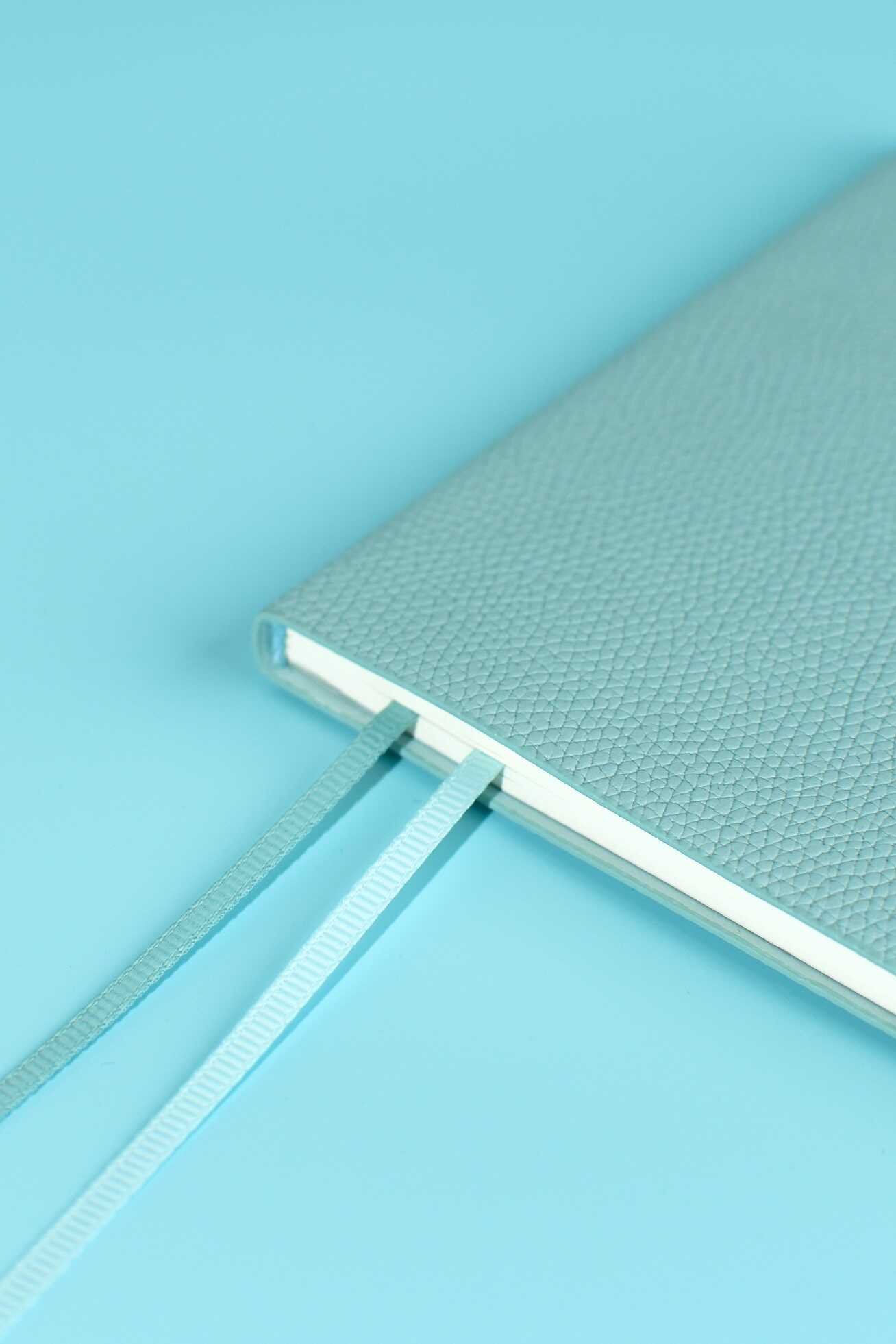 Ежедневник Феникс + ESCALADA 64 лист. - фото 12