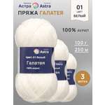 Пряжа Astra Premium Галатея акриловая 100 г 250 м 01 белый 3 мотка