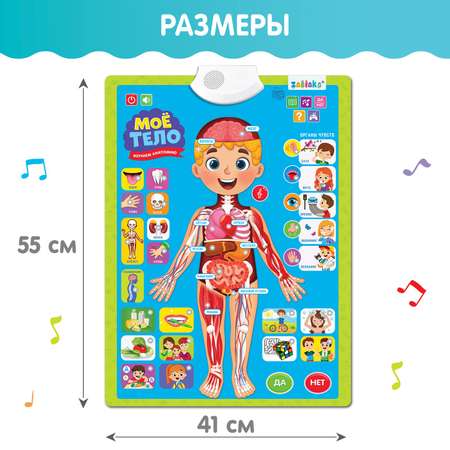 Обучающий плакат Zabiaka Моё тело