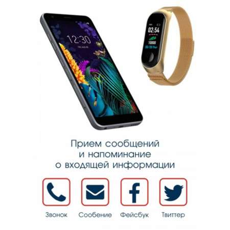 Фитнес-браслет BandRate Smart BRSM333PLBGWB с тонометром и пульсометром