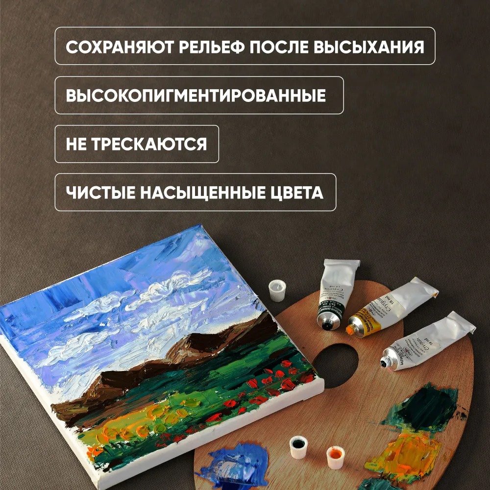 Краски масляные Гаммa 24 цв. - фото 4