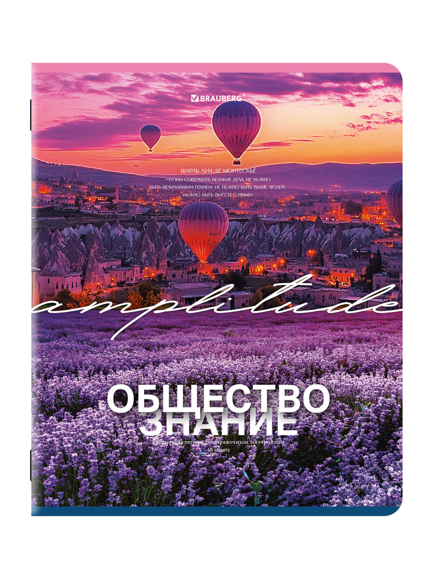 Тетрадь Brauberg 48 лист. 13 шт. - фото 10
