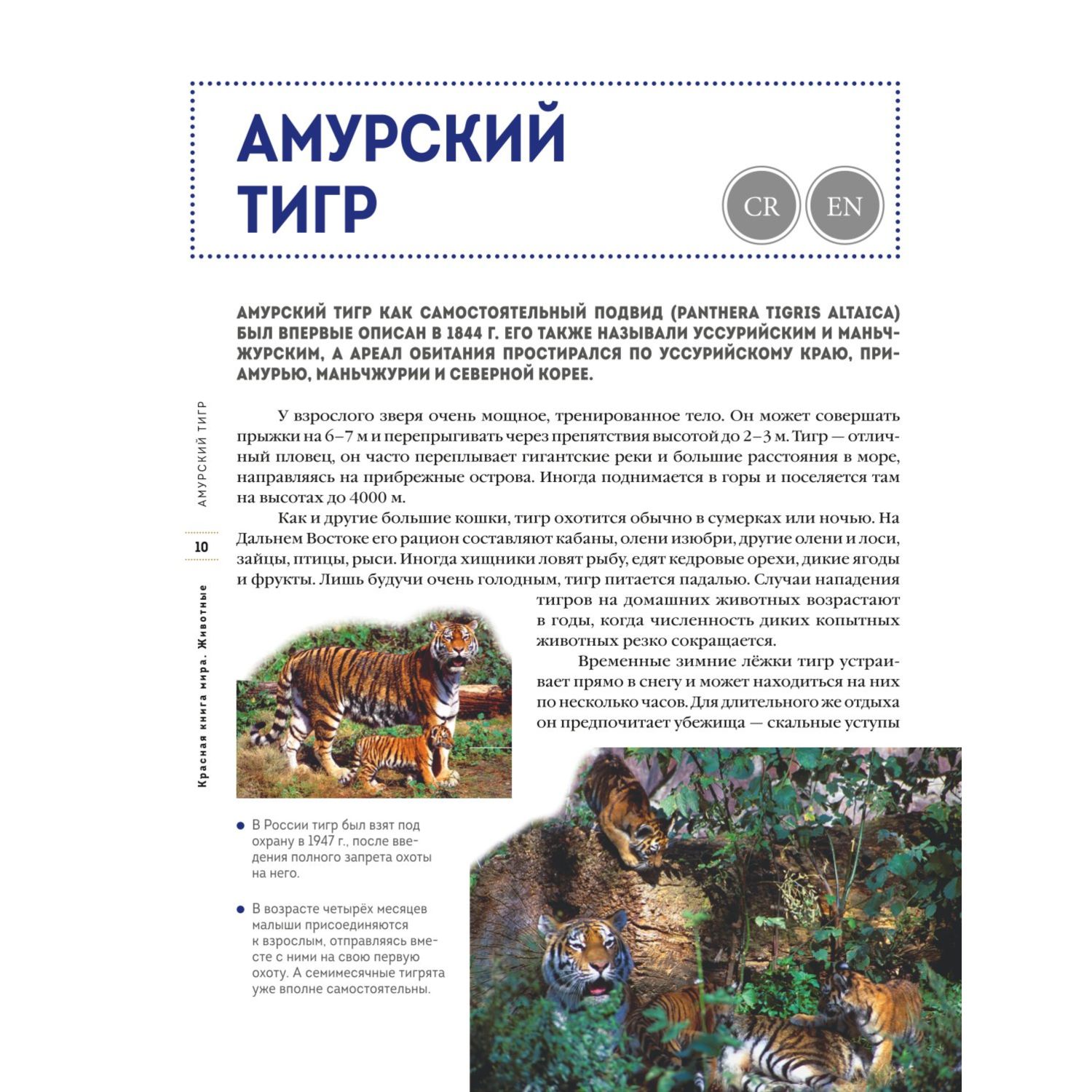 Книга Эксмо Красная книга мира Животные - фото 7