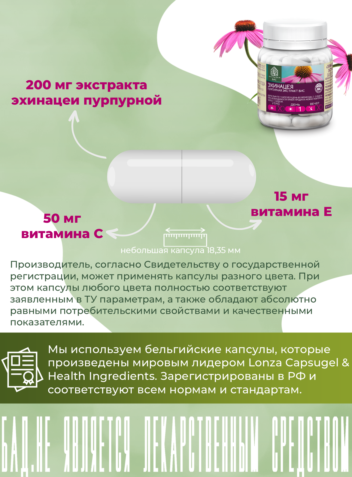 БАД Экстракт-ВИС Эхинацея пурпурная с витаминами С и Е - фото 4