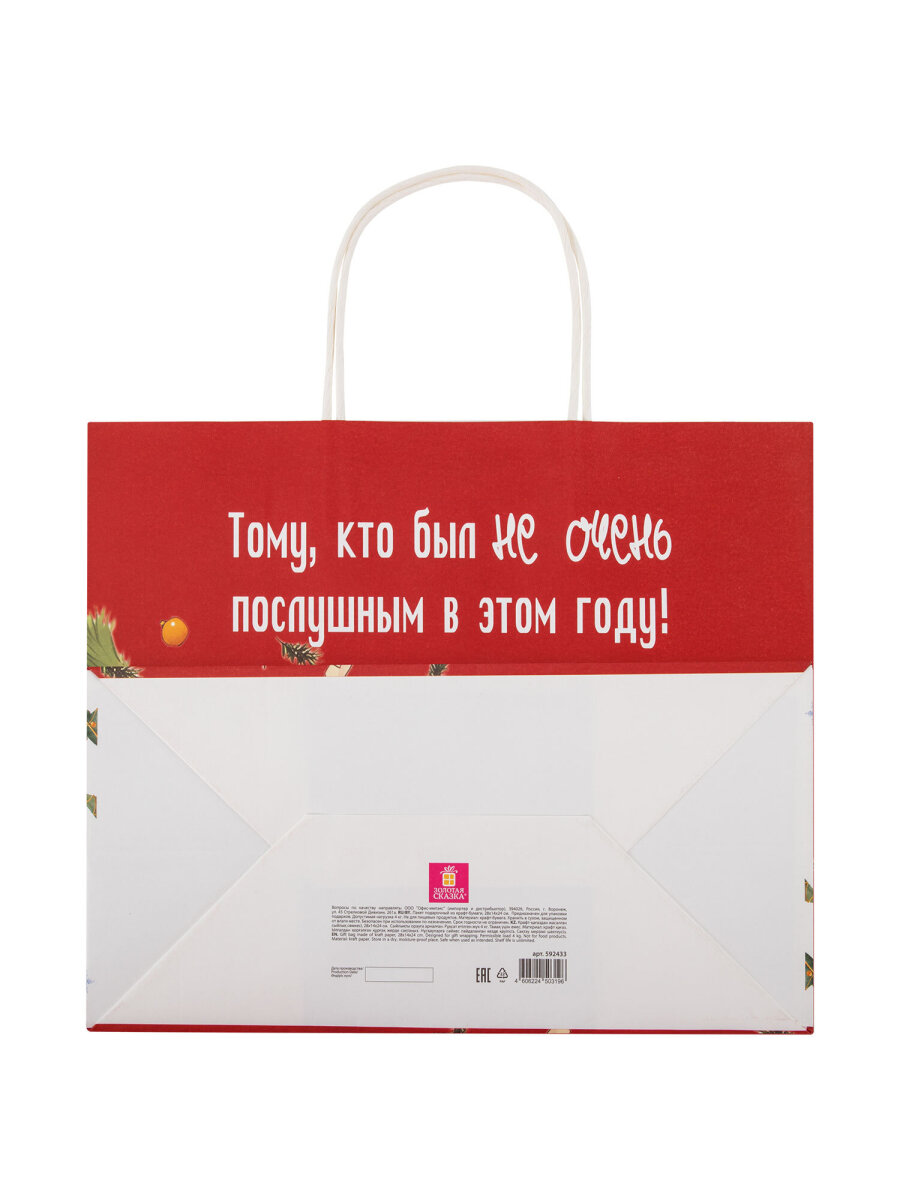 Пакет подарочный новогодний Золотая сказка пакетики для подарков и сладостей набор 4 штуки крафт - фото 5