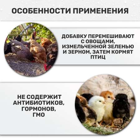 Кормовая добавка для цыплят Ваше Хозяйство Домашний бройлер 800г