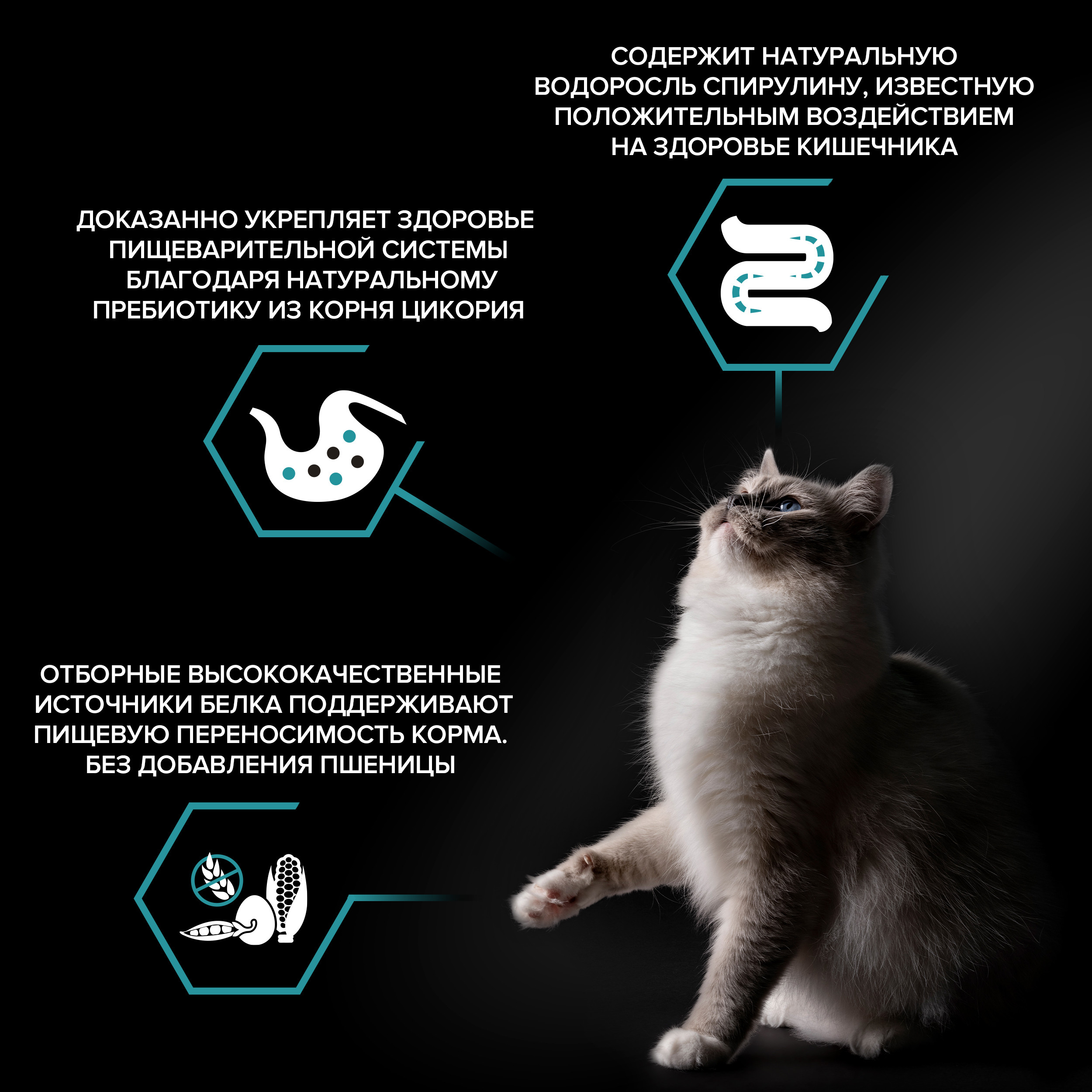 Корм для кошек PRO PLAN Nature Elements чувствительное пищеварение индейка 1.4кг - фото 6