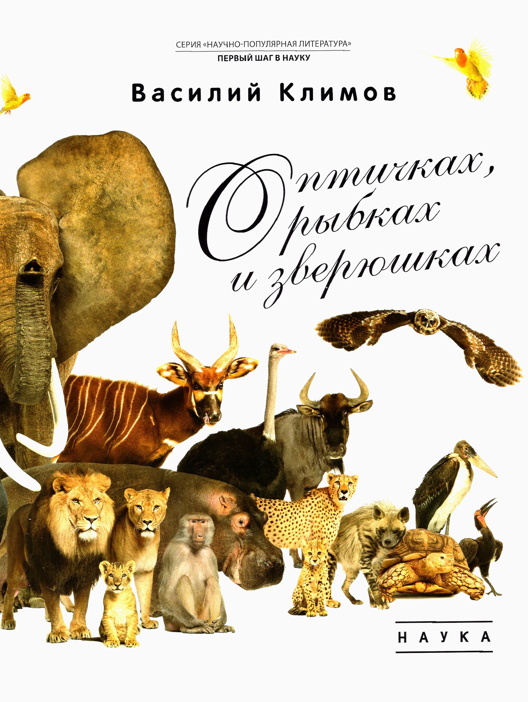 Книга Лабиринт О птичках, рыбках и зверюшках - фото 1