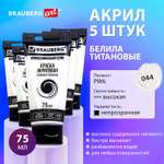 Краски акриловые Brauberg 5 цв.