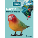 Фигурка DARWIN Птицы Попугай пионус