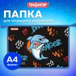 Папка для тетрадей Пифагор А4