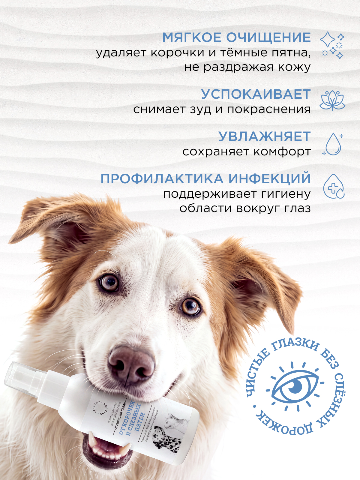 Лосьон LOVE CAT LOVE DOG для собак и кошек - фото 2