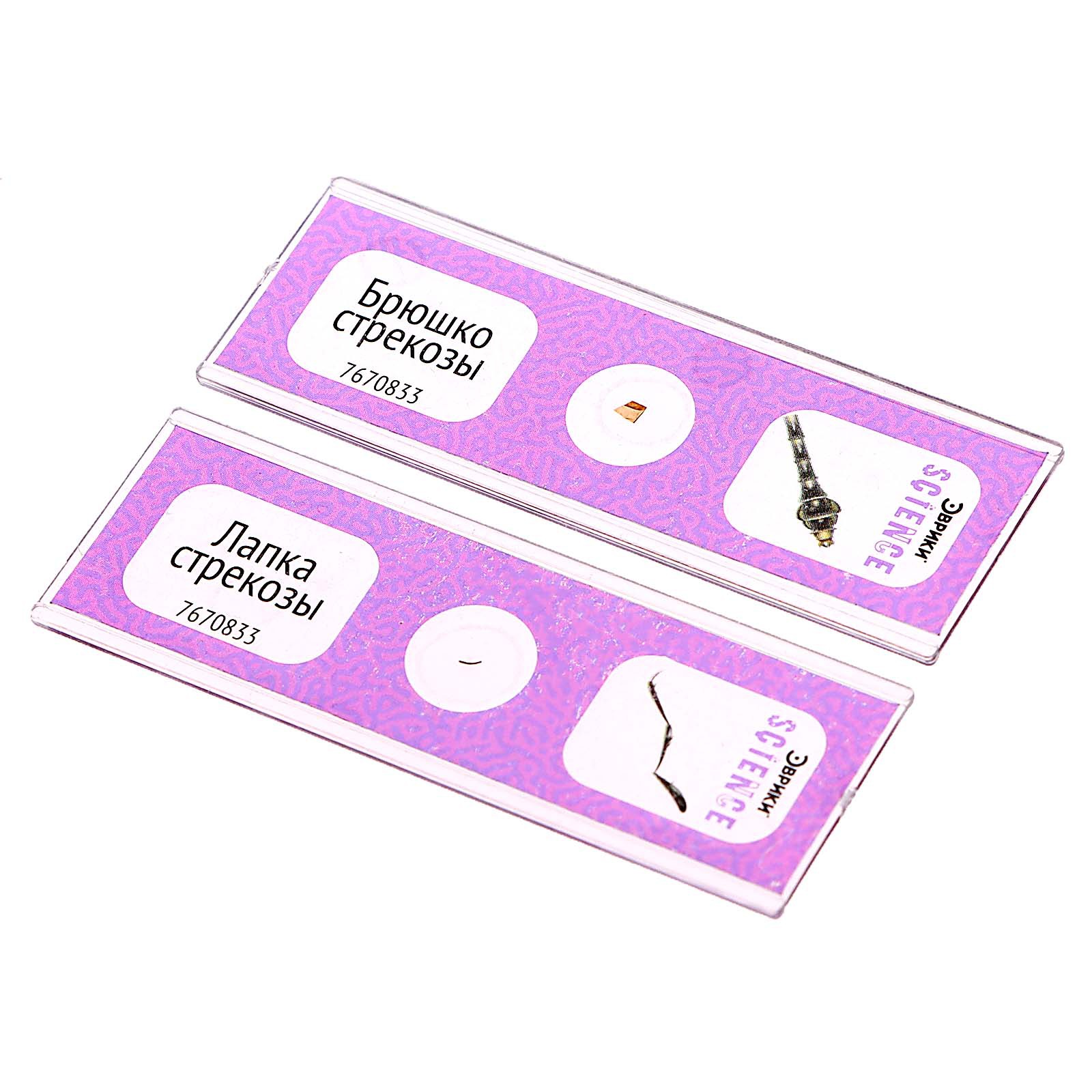 Набор для опытов Эврики - фото 3