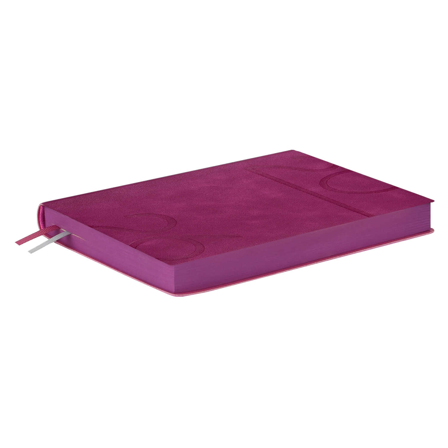 Ежедневник Феникс + ESCALADA 176 лист. - фото 6