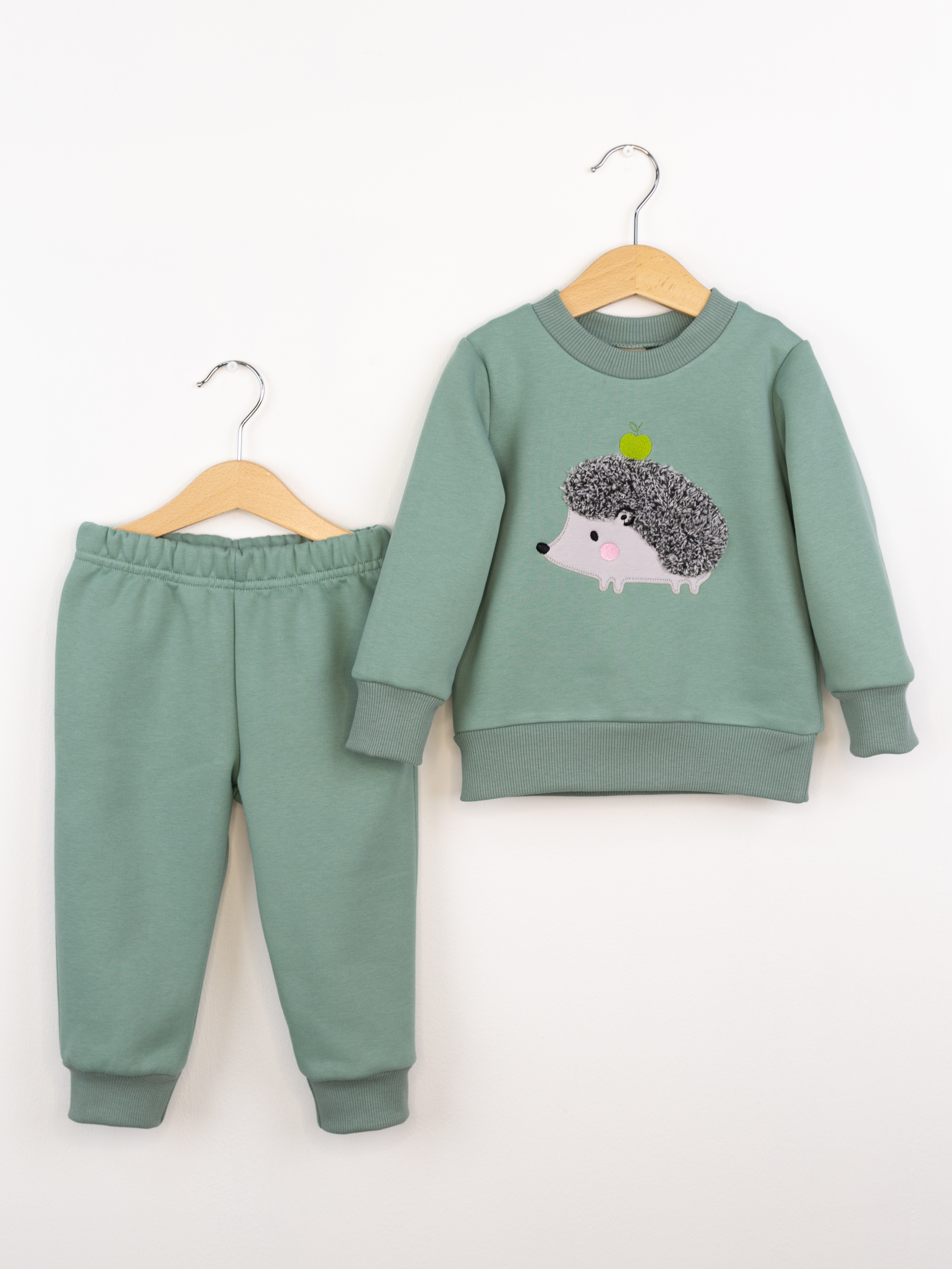 Свитшот и брюки Baby boom КД482/15-Ф микроначёс Ёжик полынь - фото 1