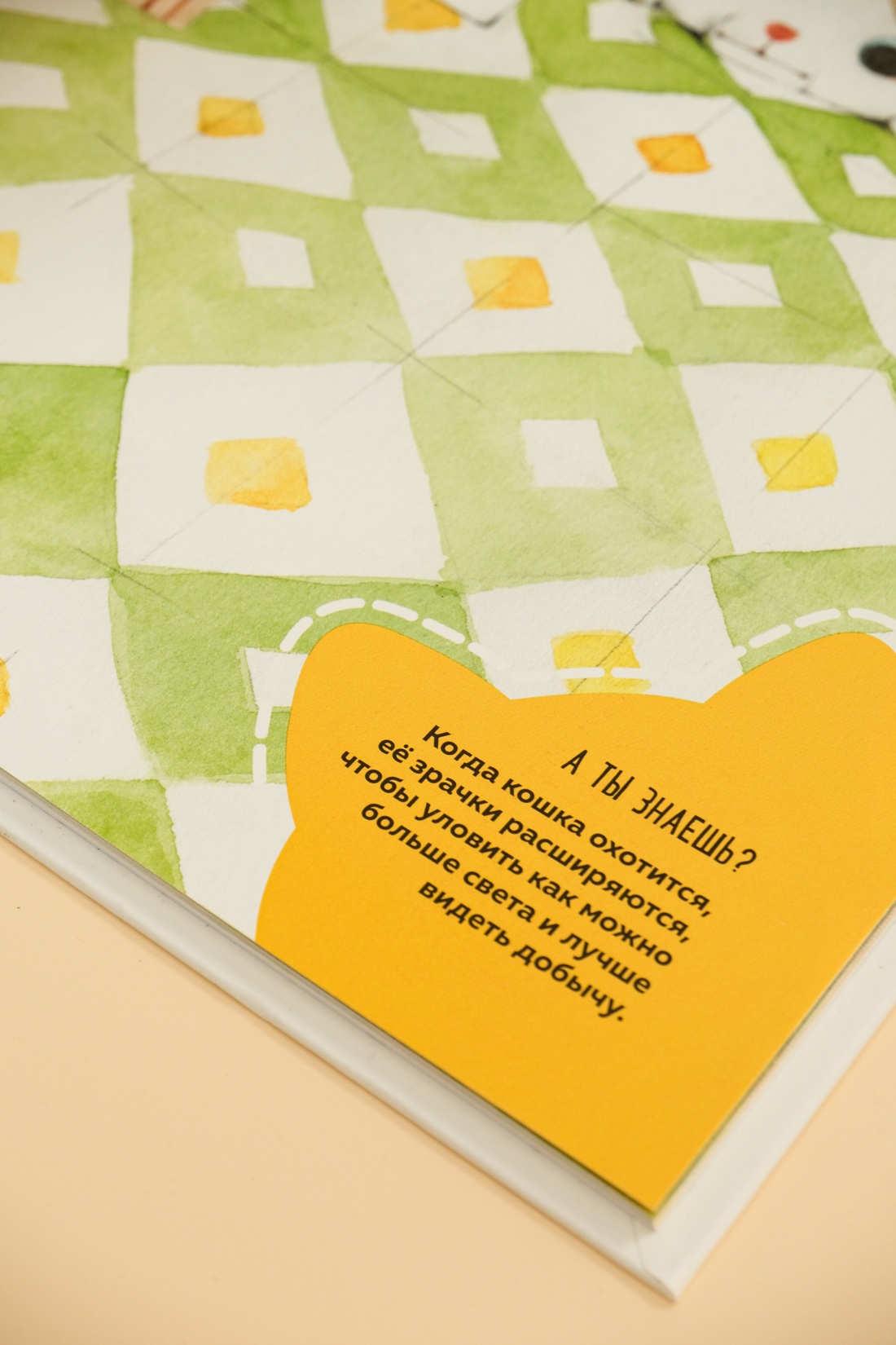 Книга Махаон Энц. Бурсе К. Невероятные коты. Всё, что нужно знать о любимых питомцах - фото 9