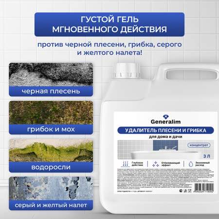 Спрей от плесени и грибка Generalim концентрат 3 л