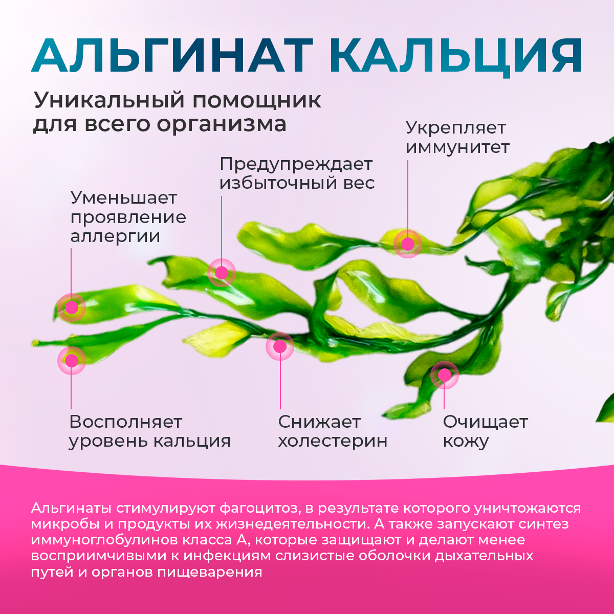 Альгинат кальция Доктор Море для пищеварения 90 капсул - фото 3