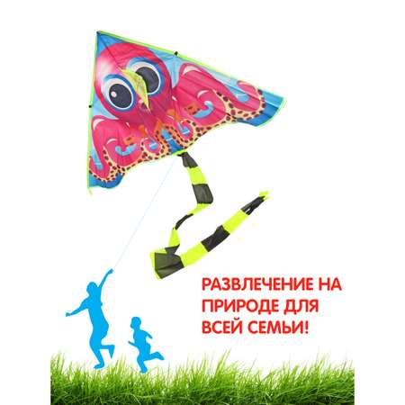 Воздушный змей Veld Co 110 см