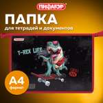 Папка для тетрадей Пифагор А4