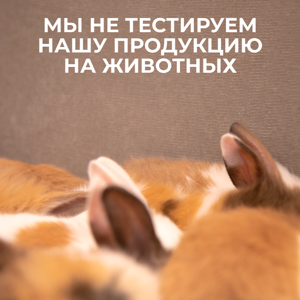 Пена La Fabrique 500 мл - фото 7