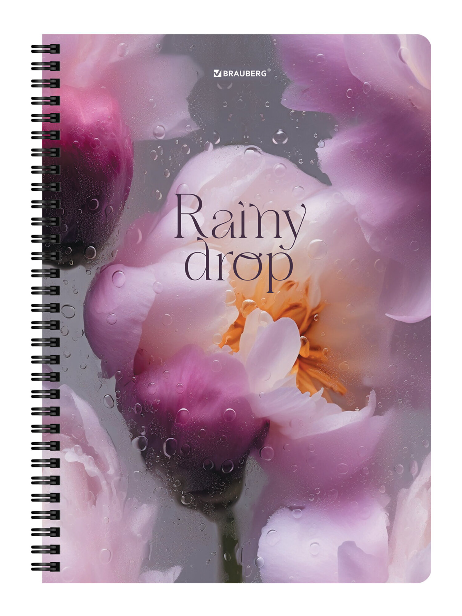 Общая тетрадь Brauberg клетка 96 лист. 2 шт. - фото 11