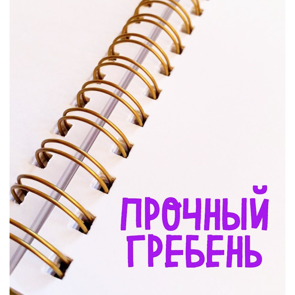 Скетчбук Проф-Пресс блокнот Аниме на гребне. А5 64 лист. 1 шт. - фото 6