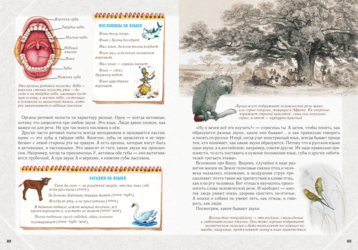 Книга Белый город Занимательная фонетика - фото 3