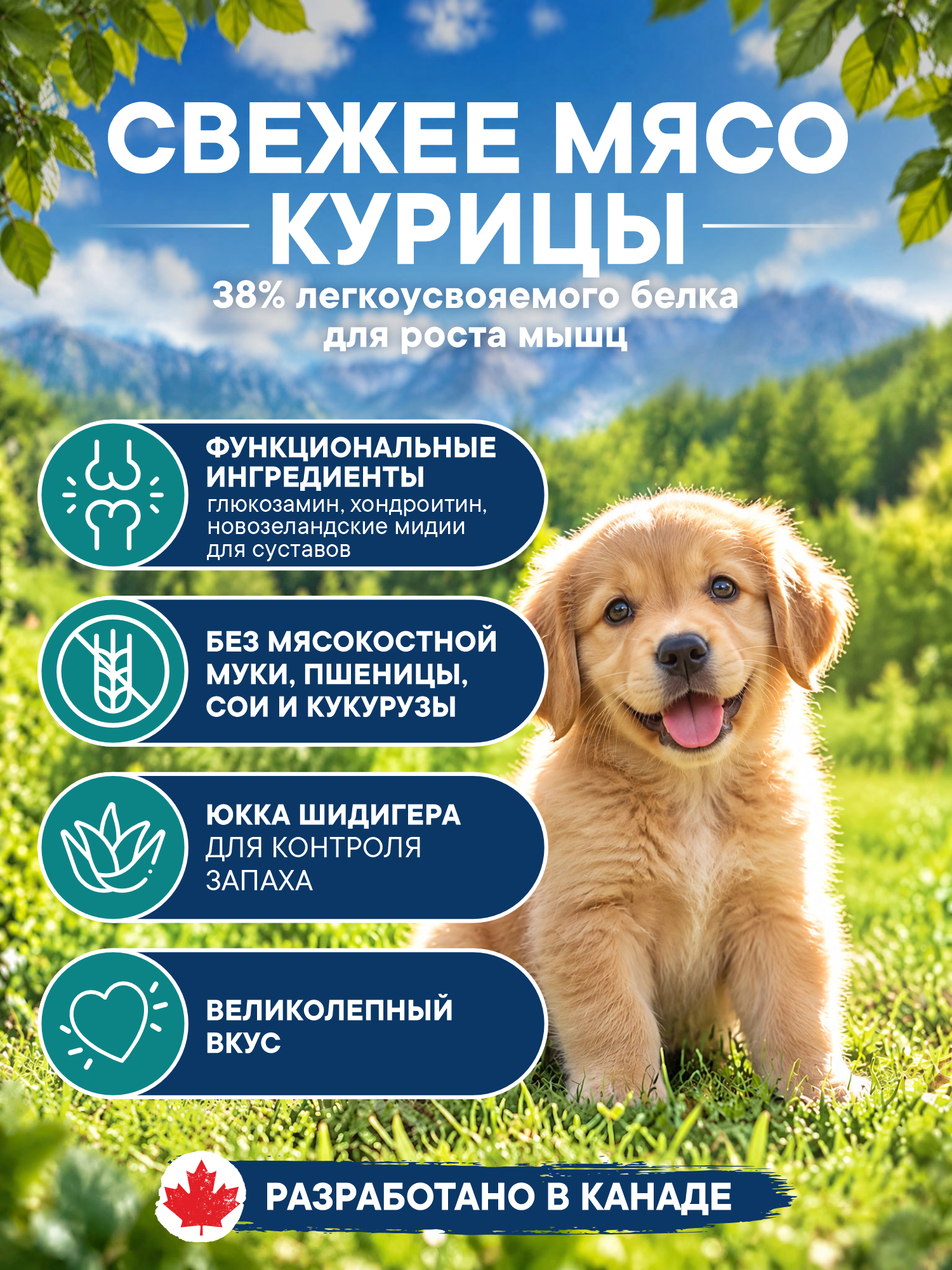 Корм для щенков сухой Pronature Holistic Peruvian на курице со сладким картофелем 2.5кг - фото 2