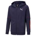 Толстовка Puma