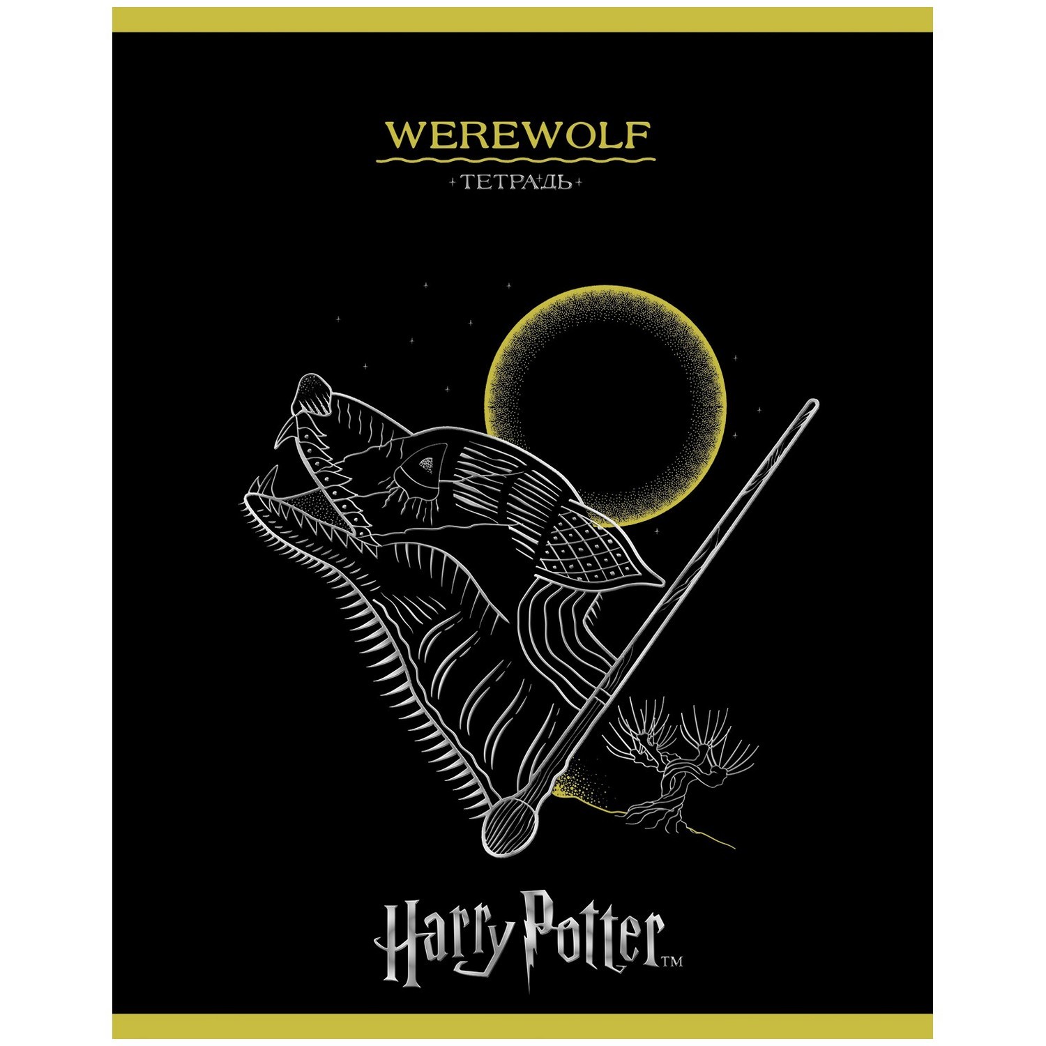 Общая тетрадь Hatber клетка 48 лист. в ассортименте - фото 5