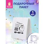 Пакет подарочный Золотая сказка большой крафтовый на день рождения