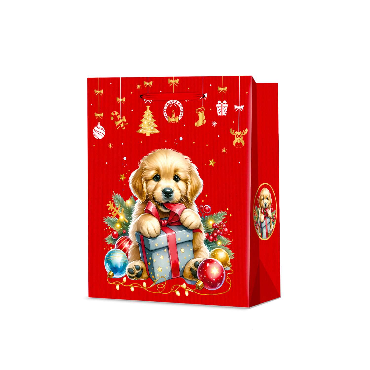 Пакет ё 24*18 в ассортименте - фото 1