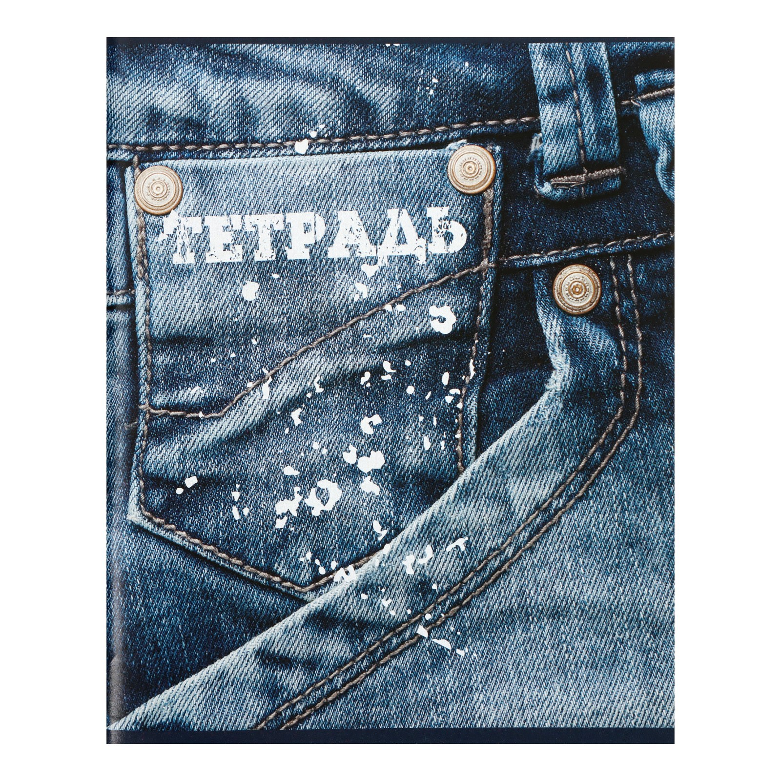 Общая тетрадь Calligrata клетка 96 лист. 4 шт. - фото 5