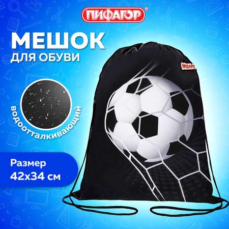 Мешок для обуви Пифагор
