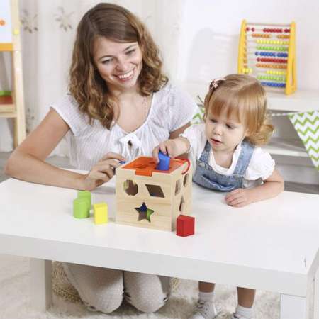 Игрушка Tooky Toy сортер