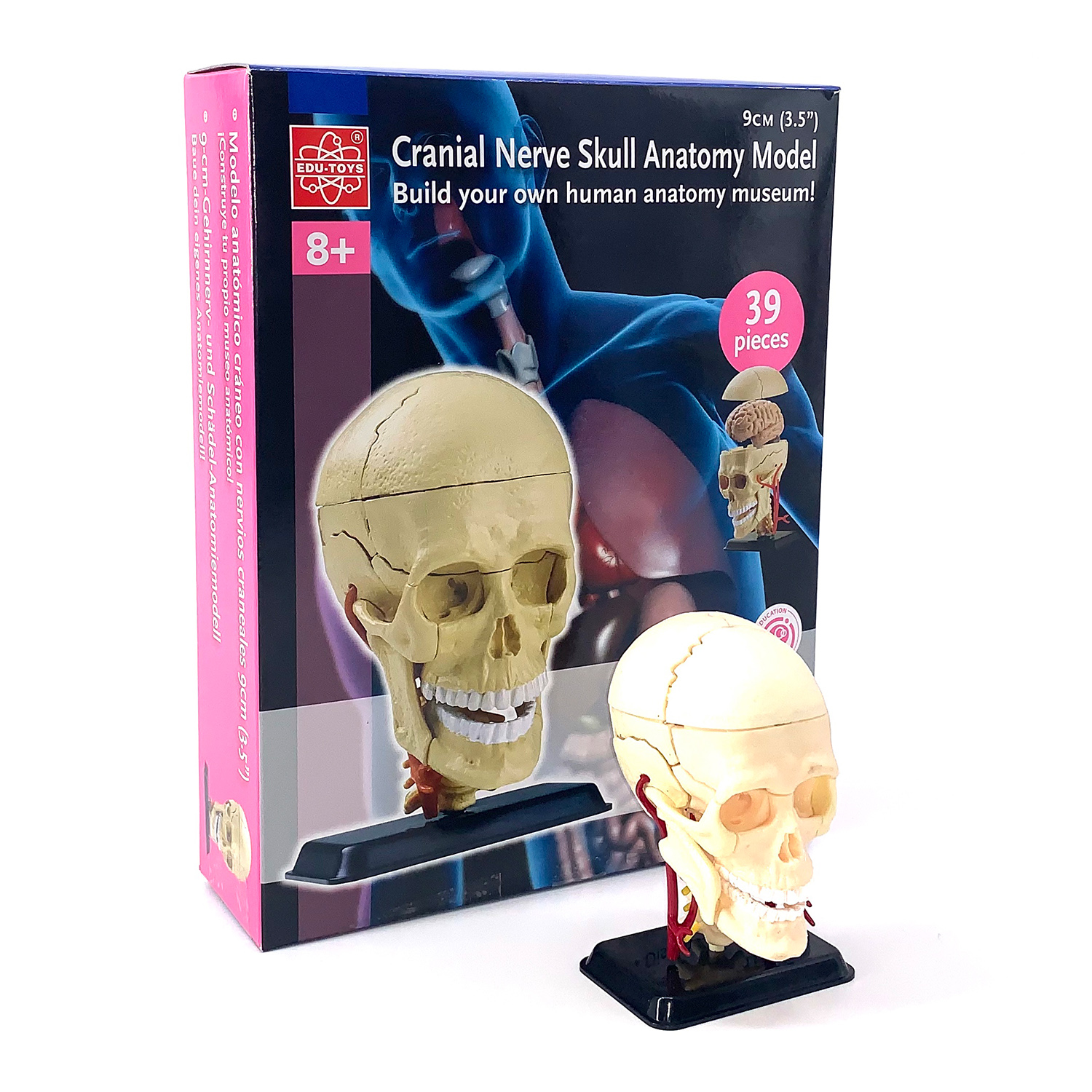 Наглядное пособие EDU-TOYS - фото 4